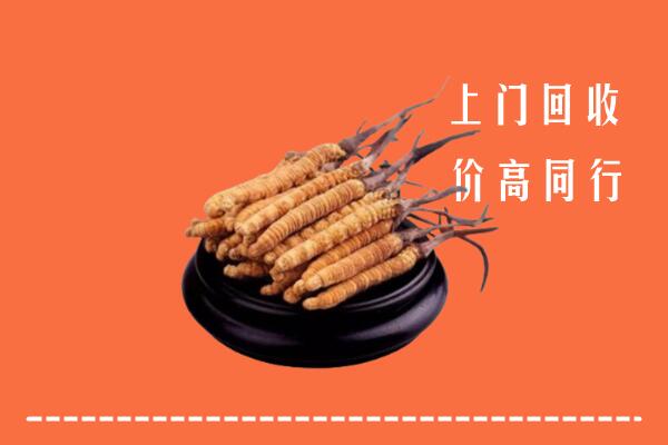 高价求购：益阳市安化县回收散虫草
