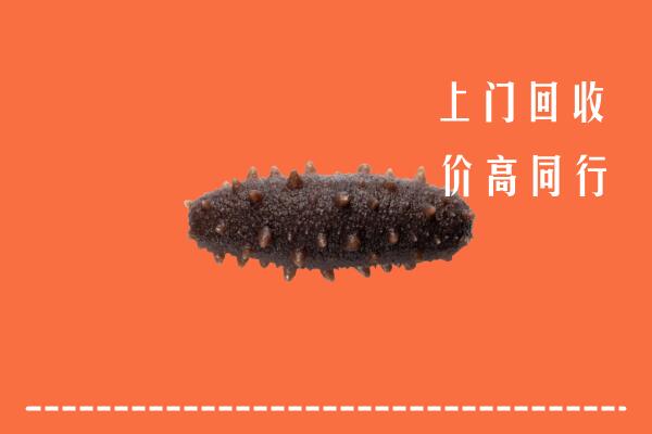 高价求购：益阳市安化县回收海参